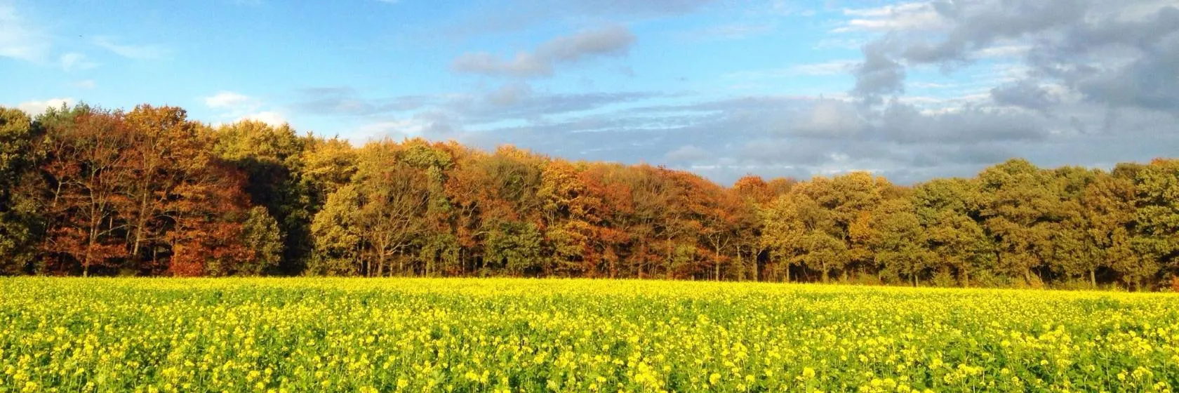 벨기에 Flemish Brabant 호텔